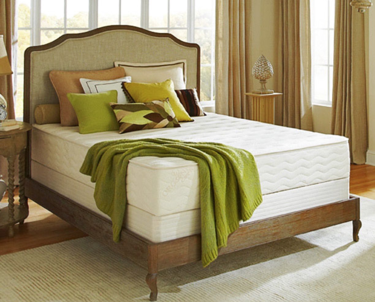 plush bed mattress reviews