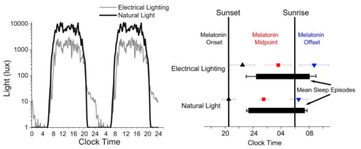 ritmi circadiani compensati dall'illuminazione artificiale